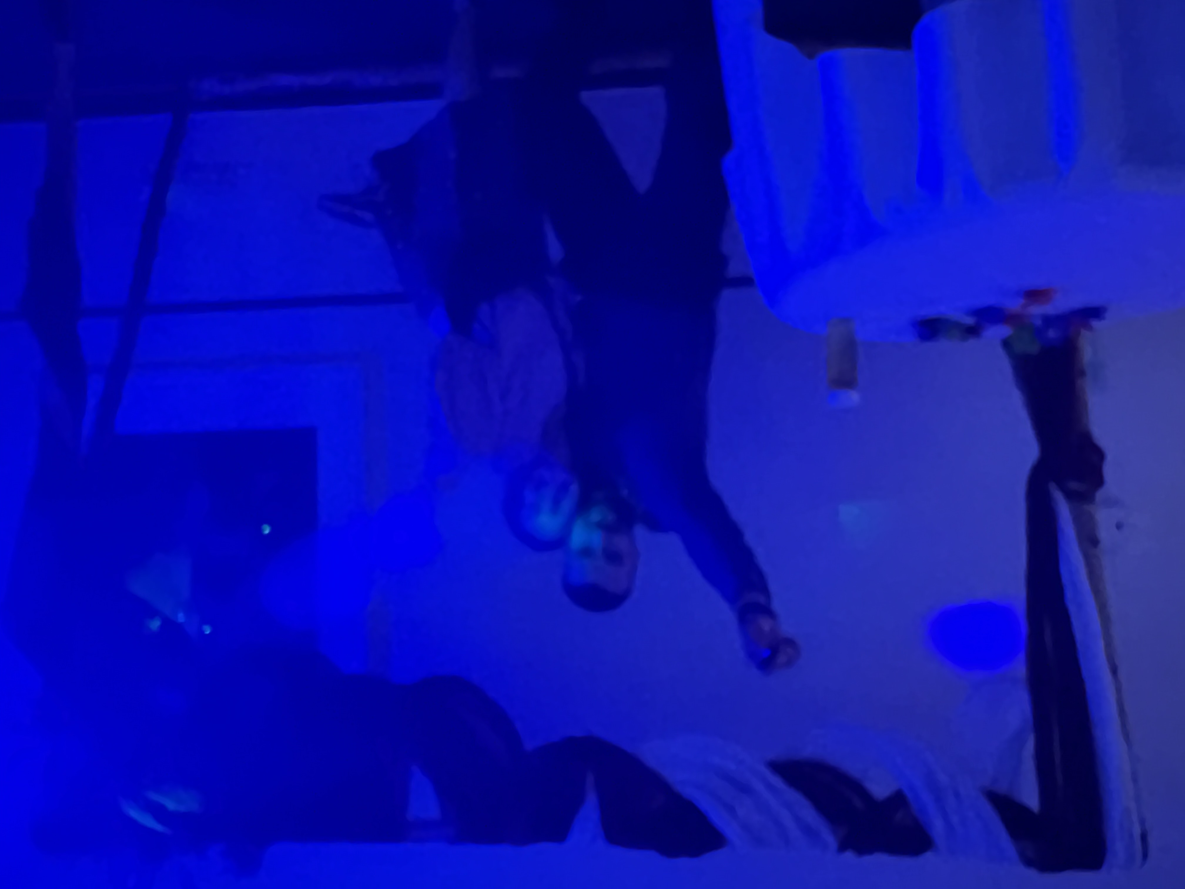 Foto 25.05.24, 21 56 44 (1).jpg